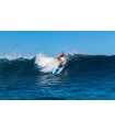 Surf Bear 8' California Board Company CBC - Tabla Soft Surf