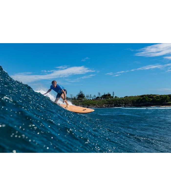 Surf Bear 9' California Board Company CBC - Tabla Soft Surf