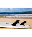 Surf Bear 8' California Board Company CBC - Tabla Soft Surf