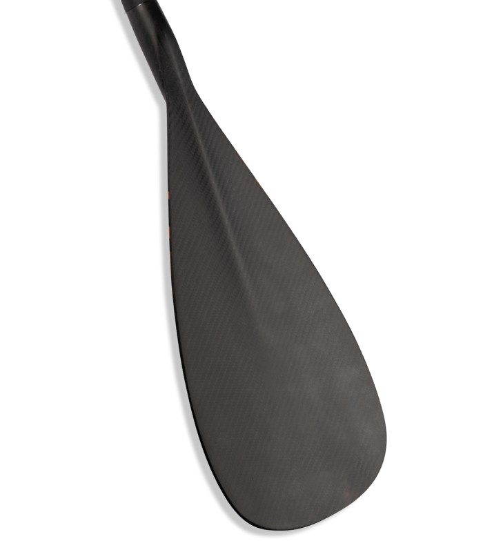 Player Ajustable Color Carbono