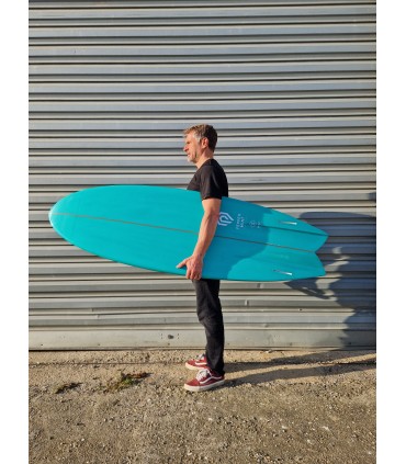 Tabla de surf en resina tintatda Peppermint Surfboards Classic Fish 6'6" Mint