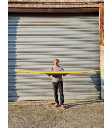 Tabla surf longboard peppermint Performer 9'1 Pineapple- surf resina tintada