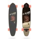 Long Island Stamp 37 Skate Longboard Surfskate Pumptrack